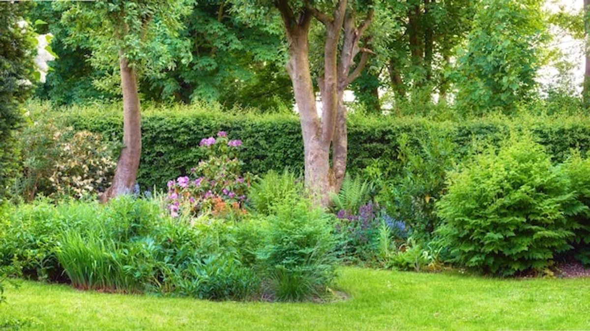 herbs meadow backyard Germany summer sustainable garden