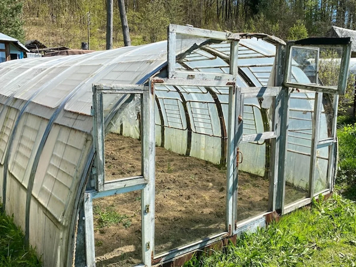 homemade greenhouse using vintage window panes