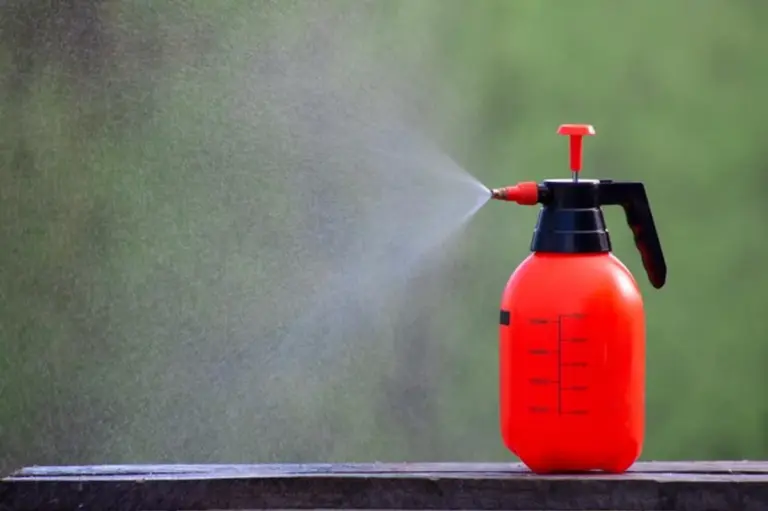 DIY soap water spray garden aphids control
