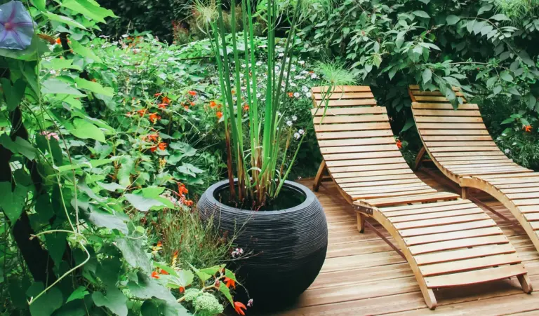 feng shui greenhouse garden energy flow sunny backyard