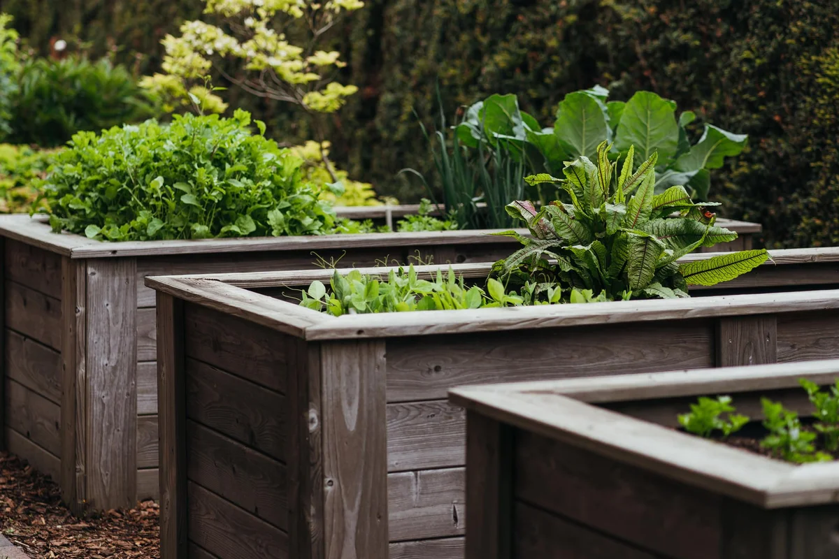 hochbeet seniorengarten design holzbeet älteres paar