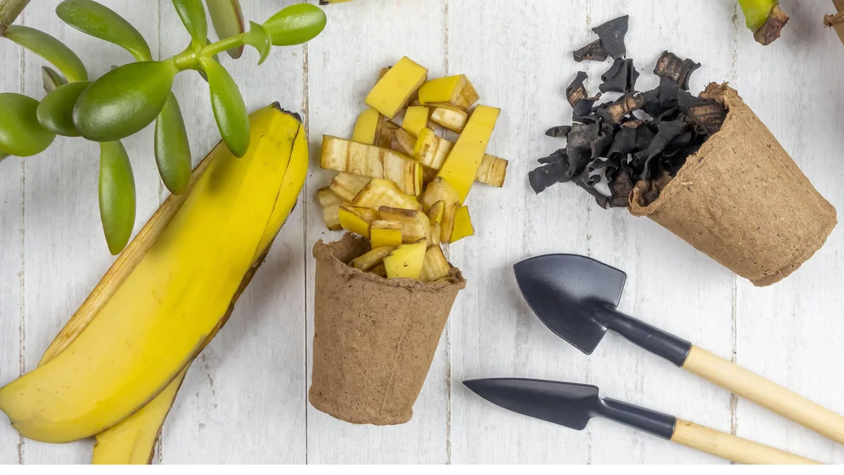 banana peel composting urban gardening Germany