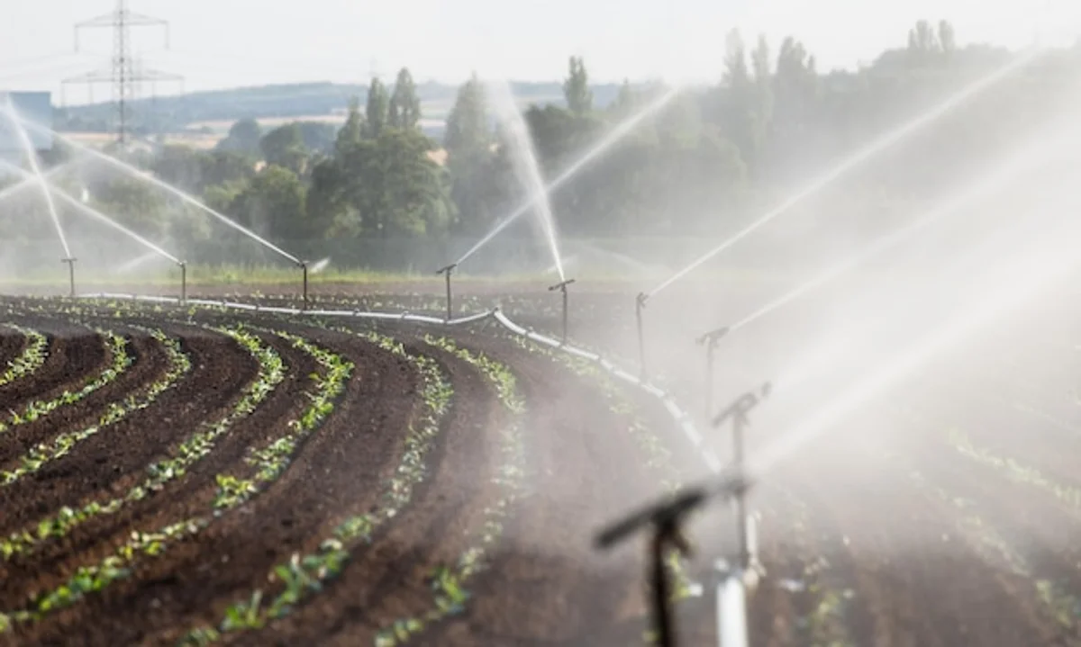 German garden smart lawn watering morning