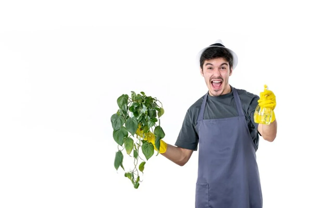coffee grounds roses pest repellent
