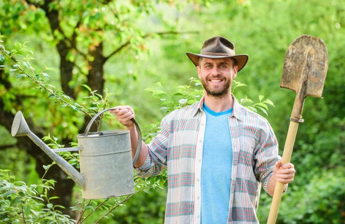 garden bed preparing sowing seeds spring tips