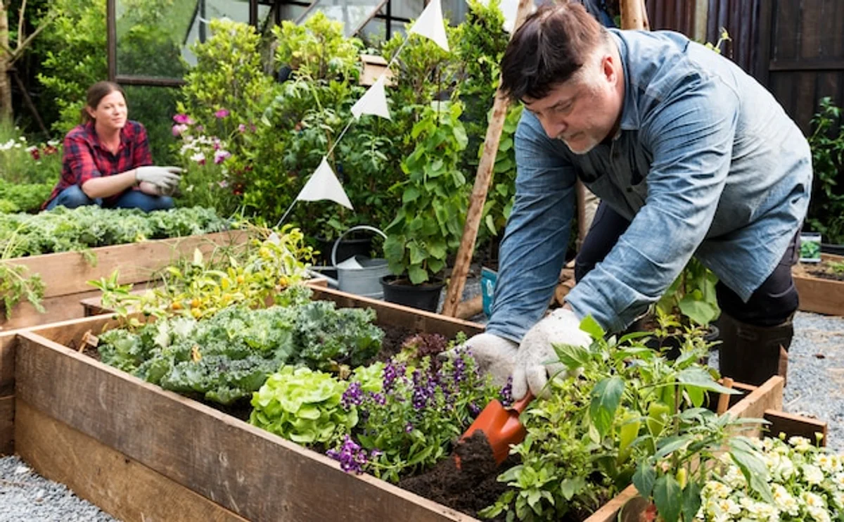 senior gardening tools raised beds fruit garden
