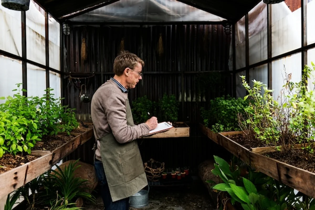 senior greenhouse gardening herbs