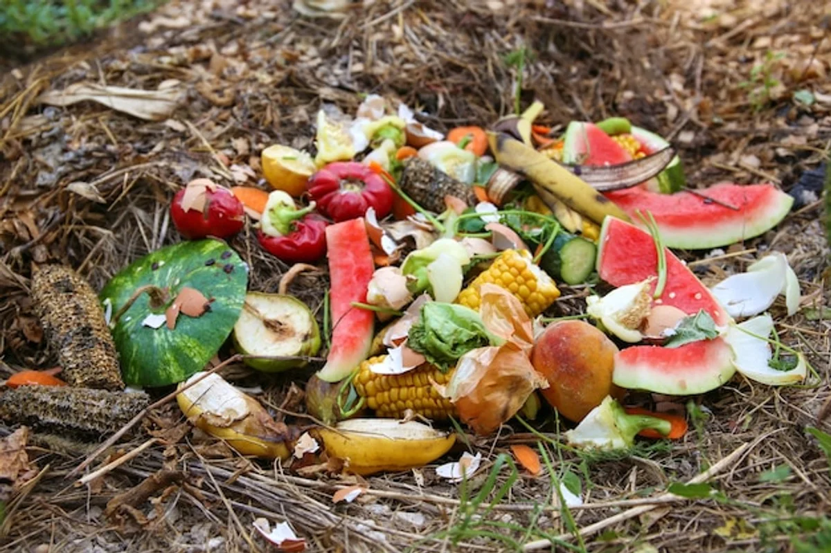 banana peels in vegetable garden germany