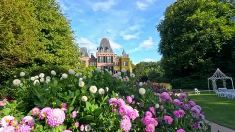 natural allergy friendly backyard Germany