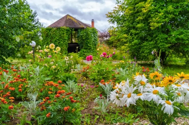 wildflower meadow transformation before after garden germany