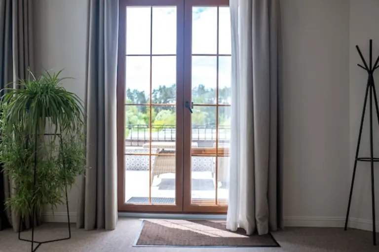 indoor plants placed for optimal sunlight in modern german living room