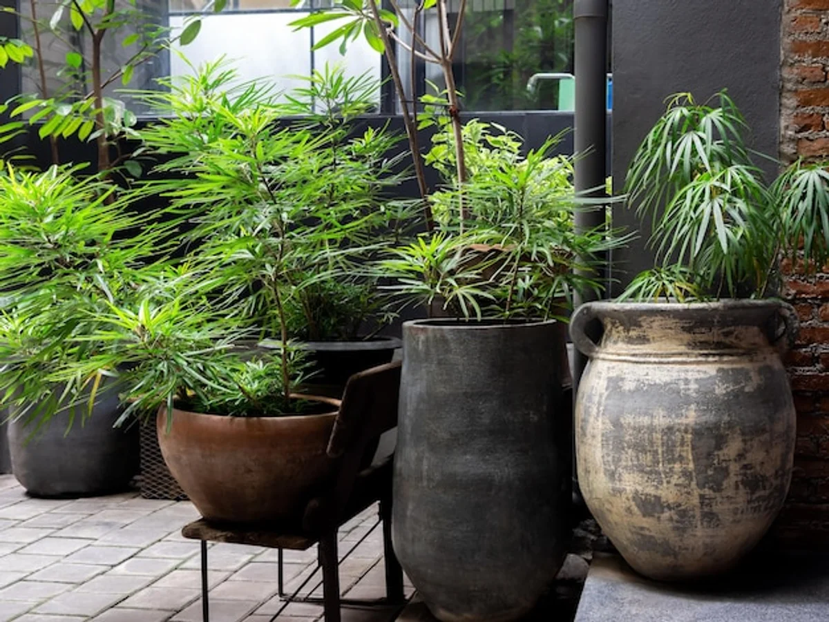 repurposed old pots as plant pots indoors retro style
