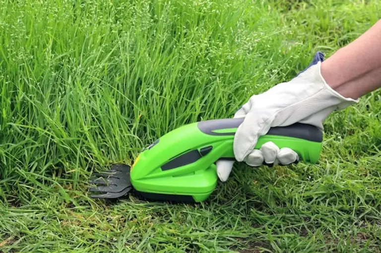 modern electric vs manual garden tools germany
