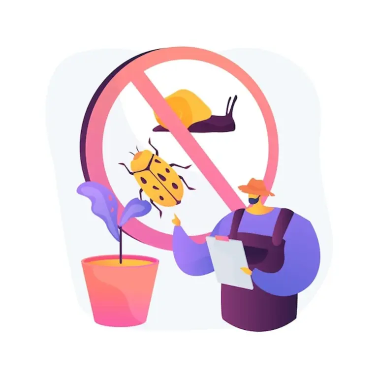 herb garden pest control natural