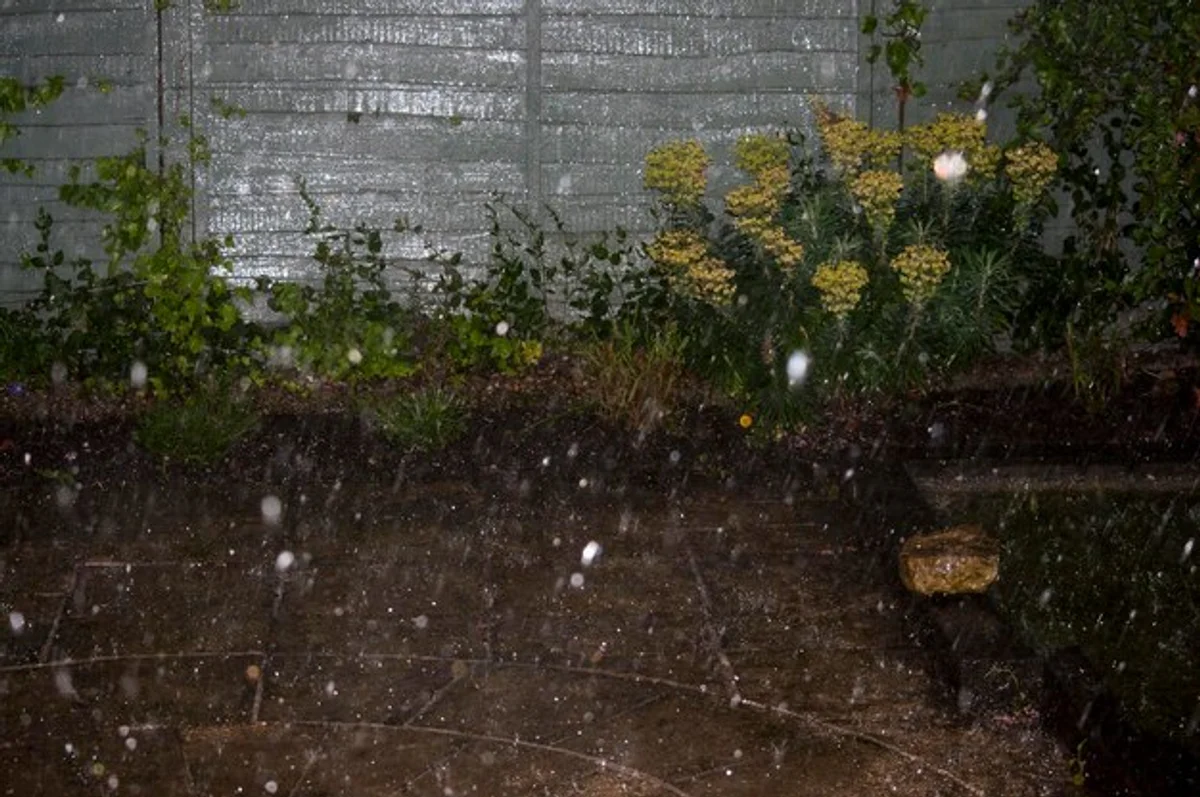 night watering lawn Germany