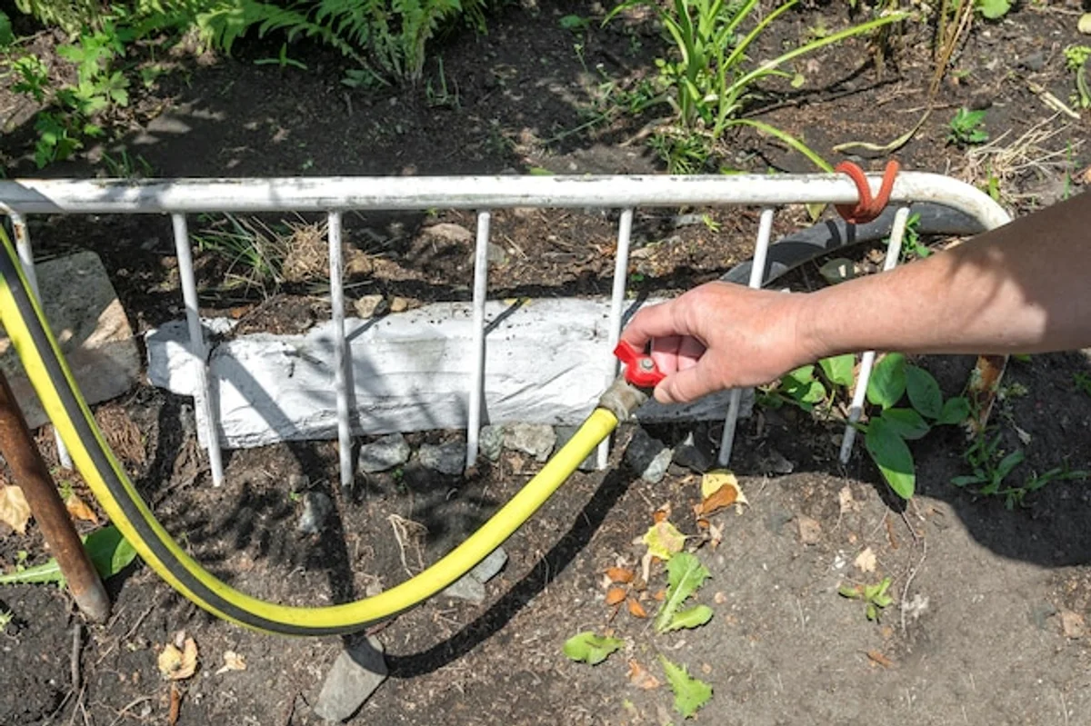 old garden hose drip irrigation vegetable bed