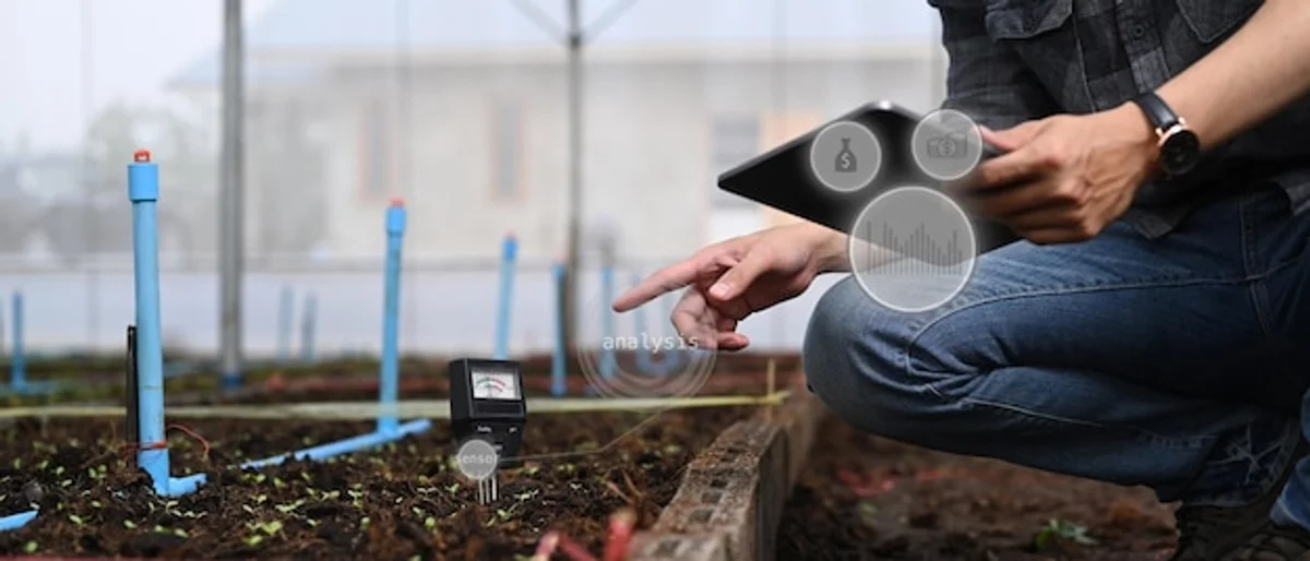 hand testing soil moisture in young seedling tray with sunlight background
