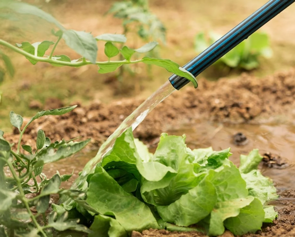 natural pest control for fruit trees germany