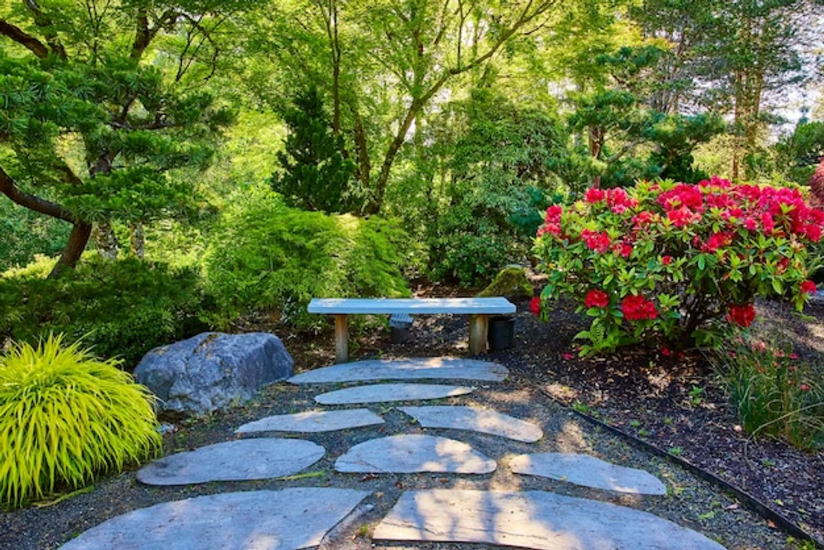 feng shui garden relaxing path sun light