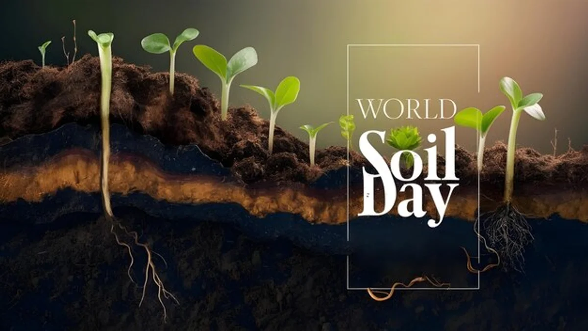 molehill rich soil texture garden closeup hands nature