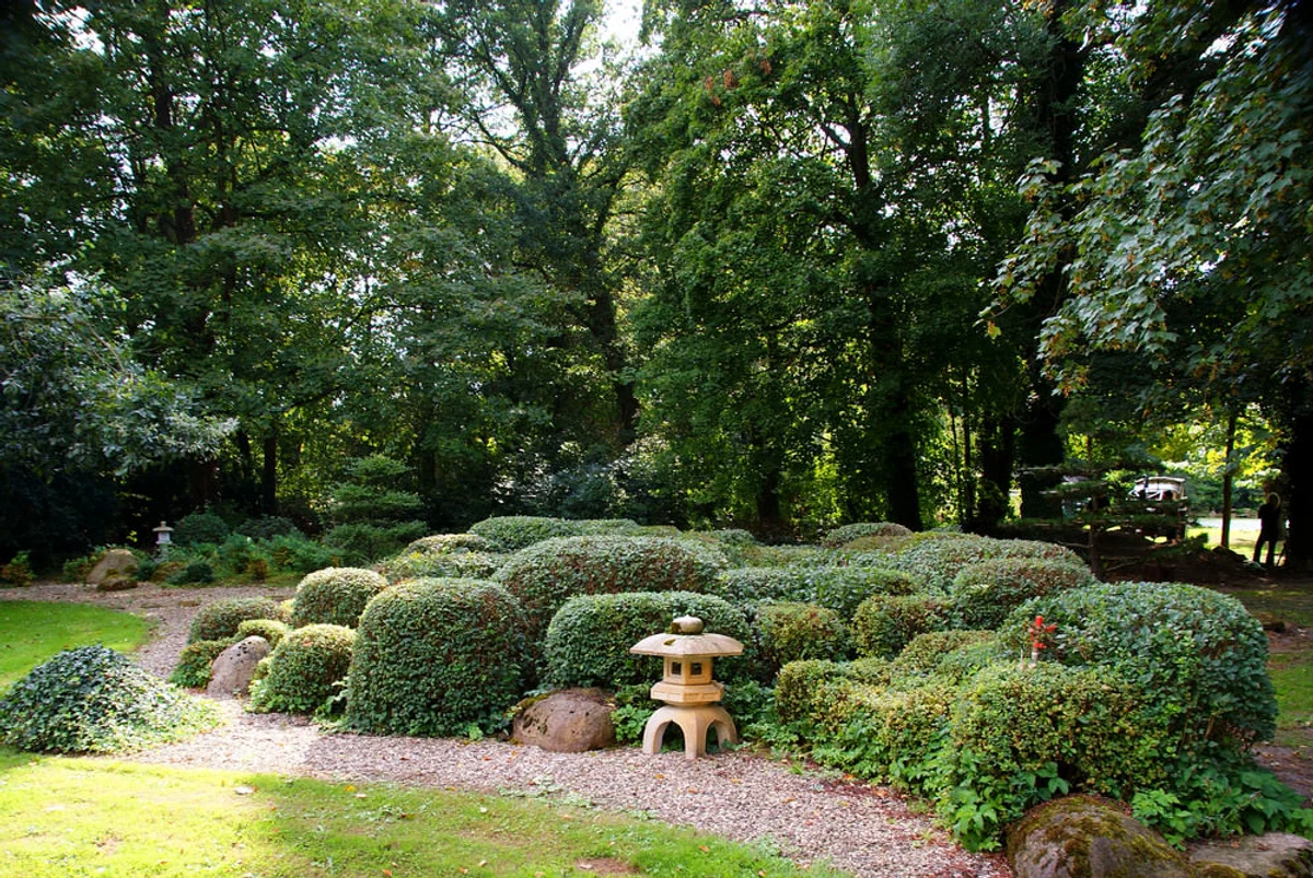 feng shui tree arrangement garden harmony Germany