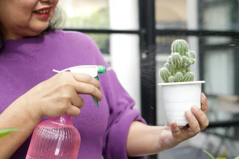 senior watering houseplants sunny room