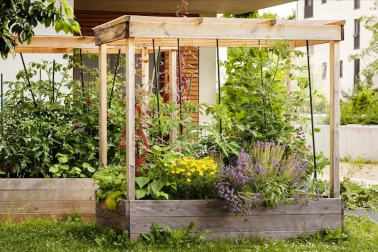 homegrown vegetables colorful German garden