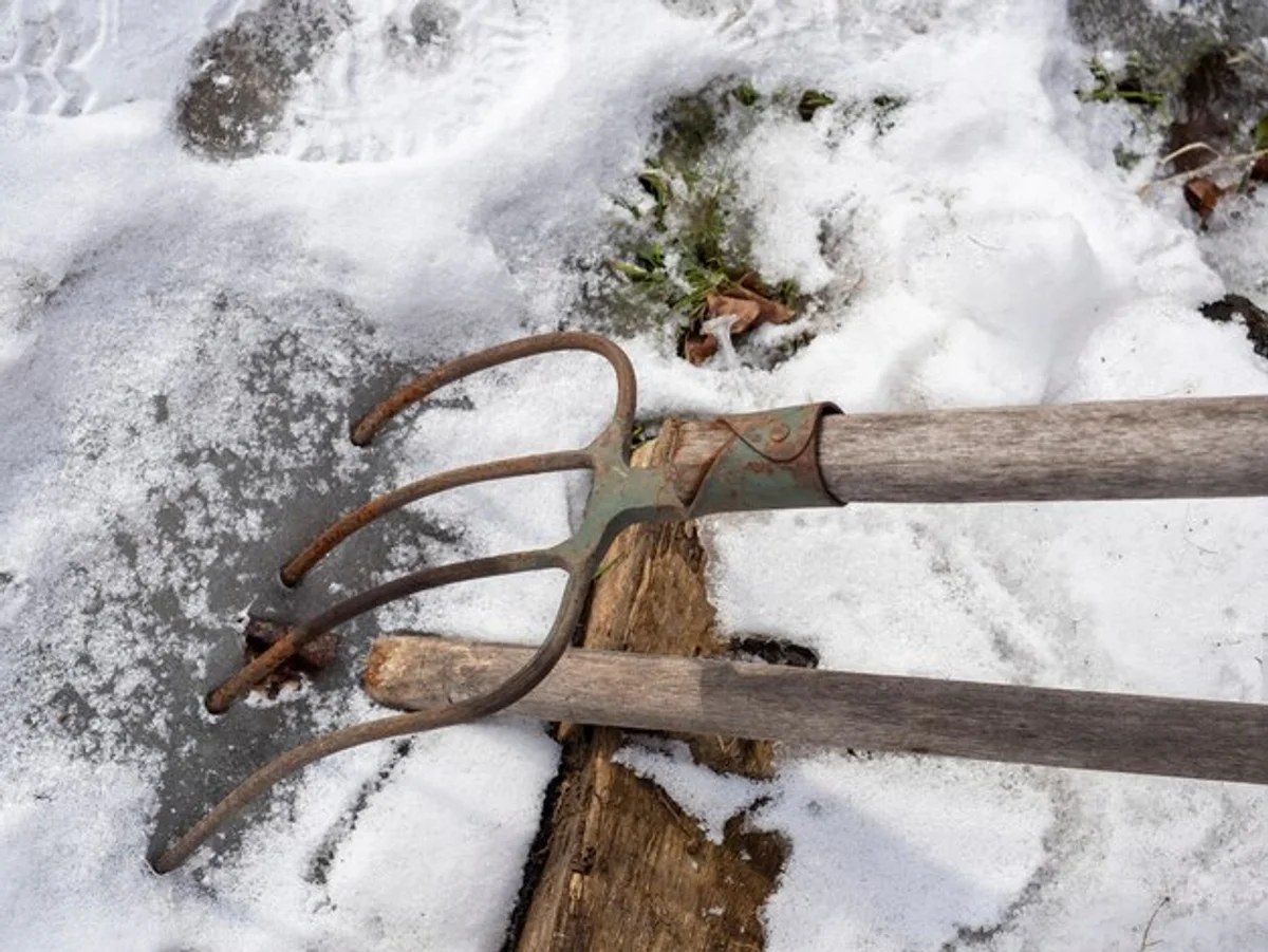 rusty garden tools in snow