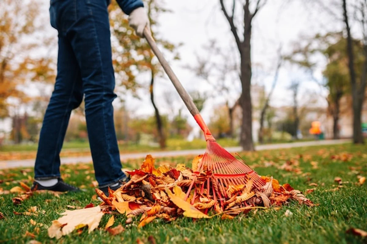 person cleaning gardening tools autumn