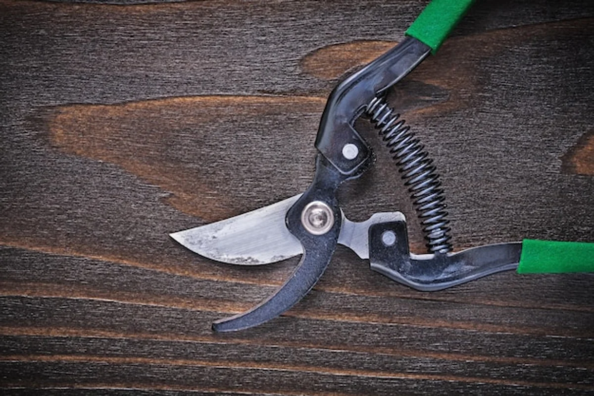 before and after of sharpened garden shears in hand