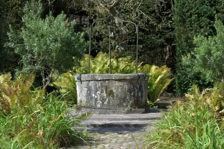 rainwater harvesting in german garden with fruit trees