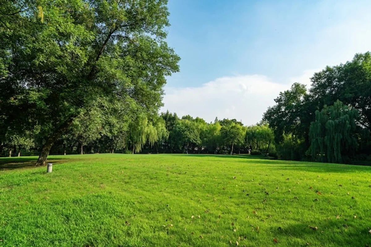 lush green natural lawn garden Germany