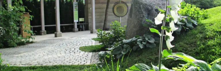 concrete backyard biodiversity loss Germany