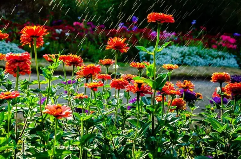 natural rain protection for flowers in garden