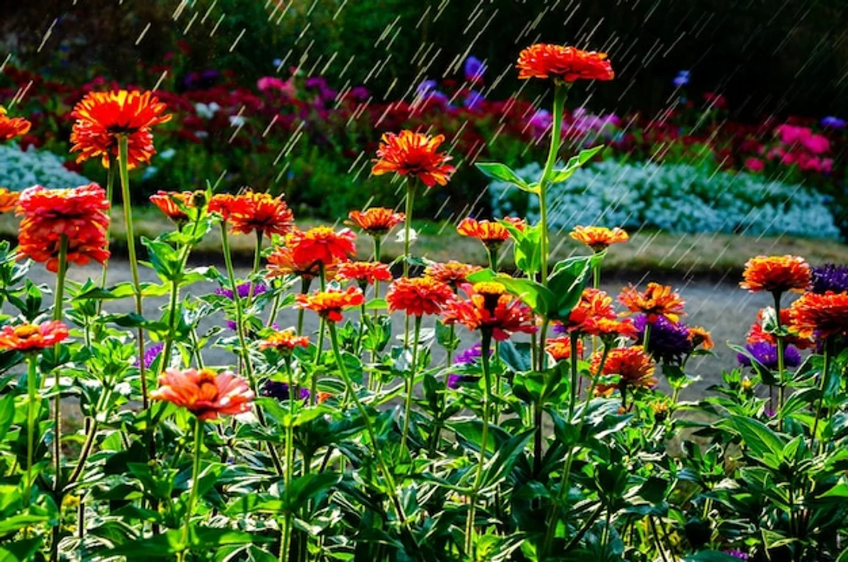 natural rain protection for flowers in garden
