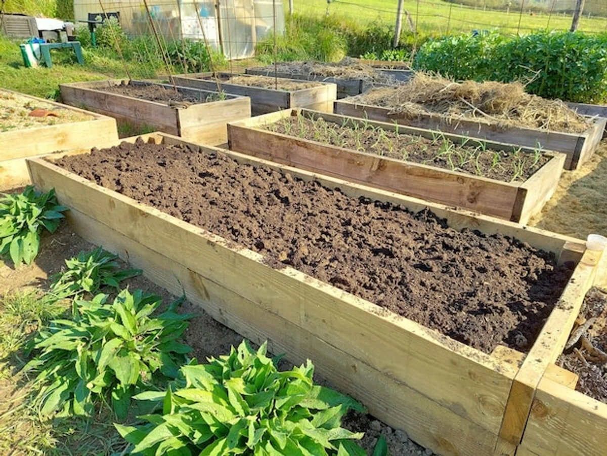 organic compost for vegetable beds Germany