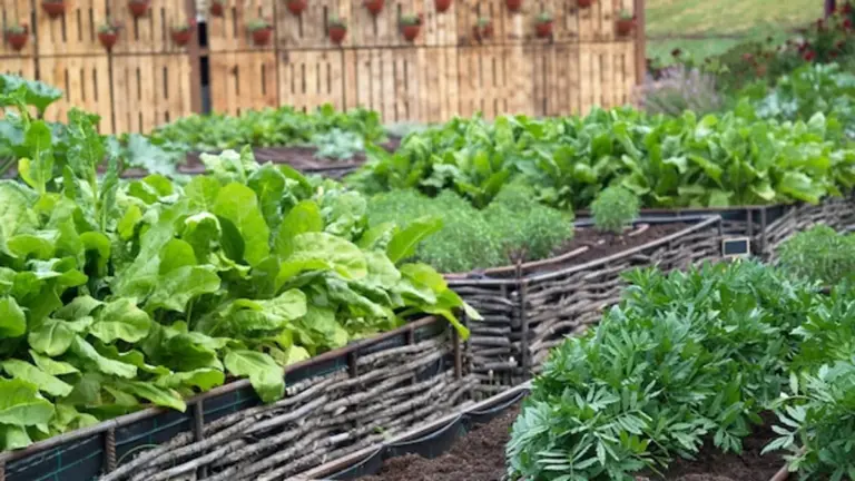 sustainable recycled garden tools germany backyard