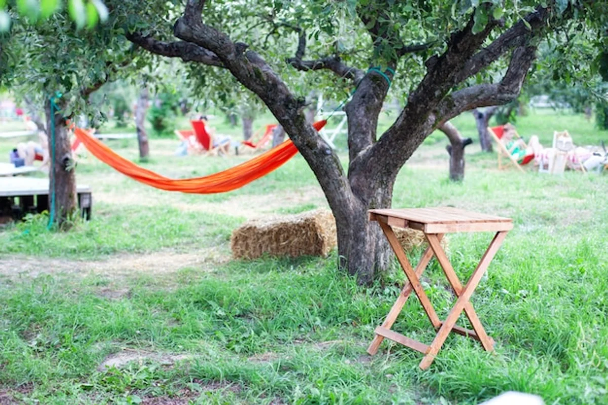 fruit garden with shade trees, people relaxing