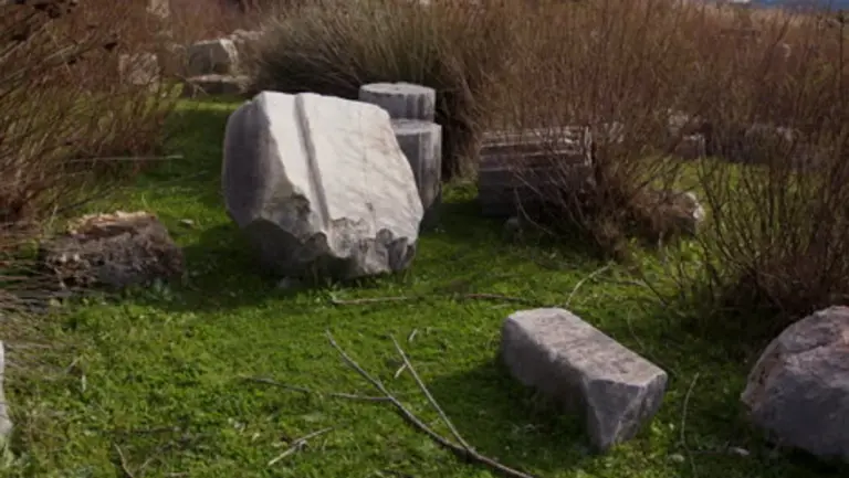 organic compost vs chemical fertilizer in german garden