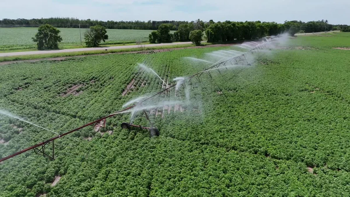 chemical fertilizer application in vegetable bed germany