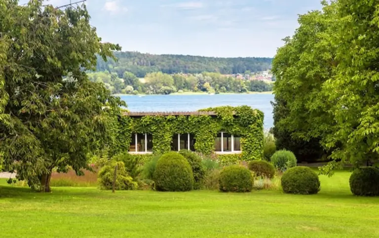 eco friendly german backyard lawn care