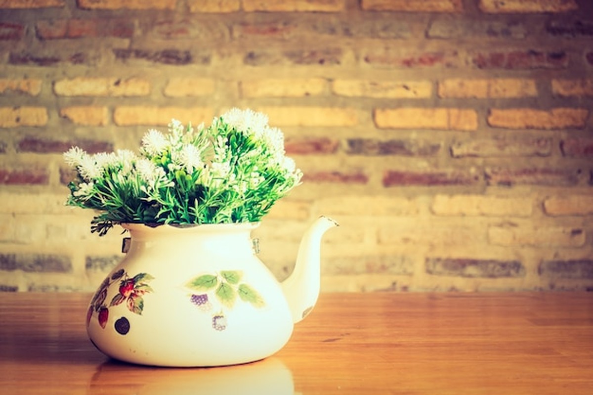 Alte Tassen als Blumenkübel: Der Upcycling-Trick für jeden Haushalt