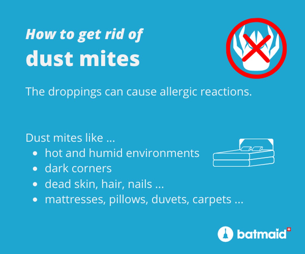 Backpulver auf der Matratze: Das Geheimnis gegen Milben und Gerüche - image 2