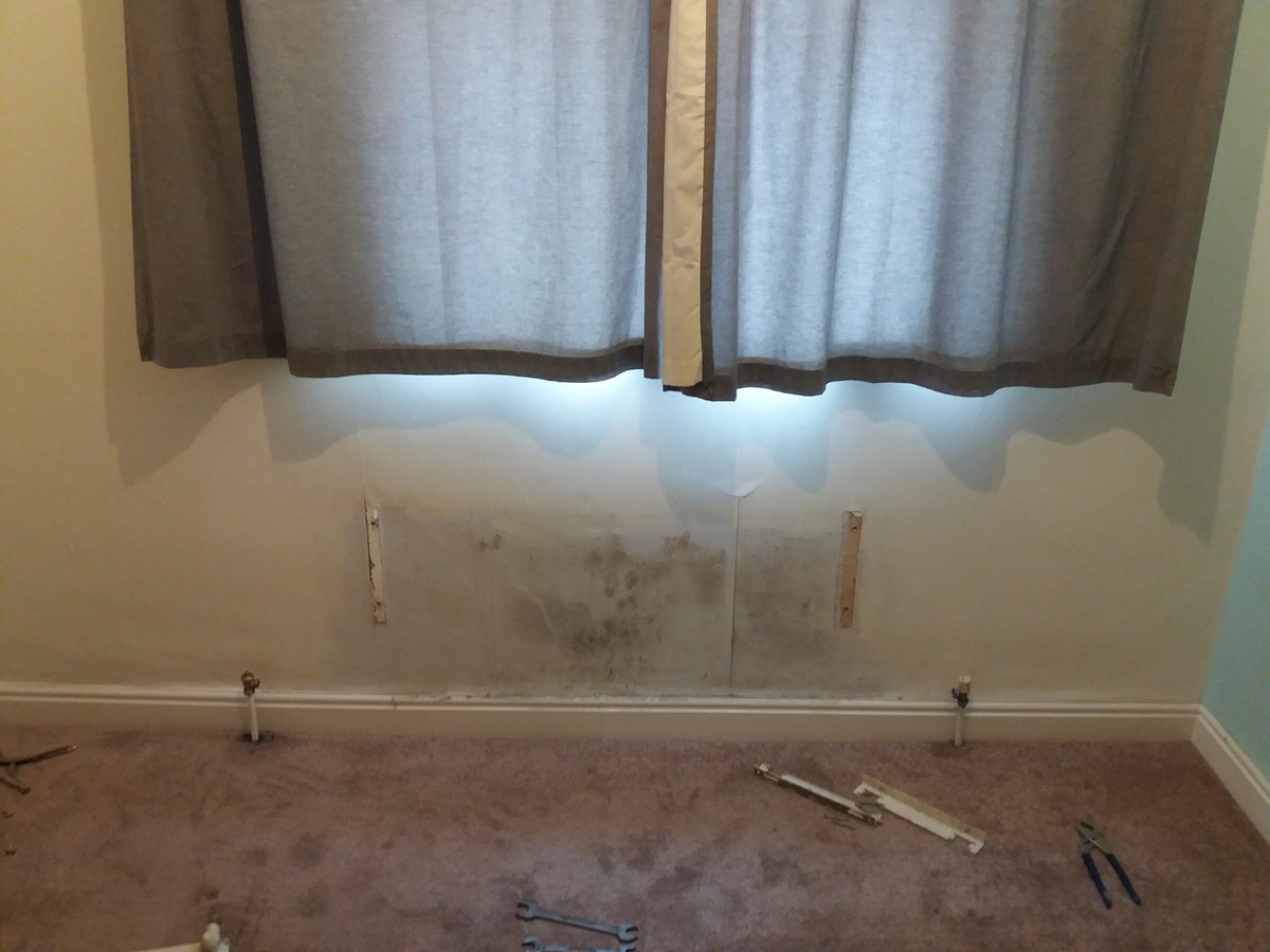 Backpulver hinter die Heizung – und der Schimmel verschwindet - image 1