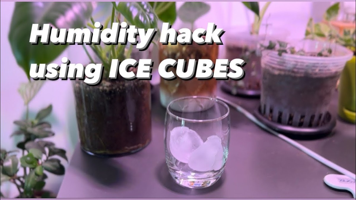 Backpulver hinter die Heizung – warum Energieberater das empfehlen - image 2