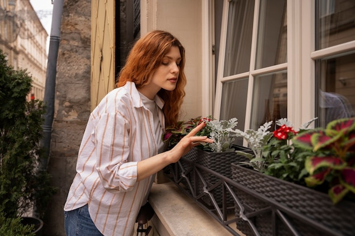 Balkon-Gemüsegarten: Der Trend, den immer mehr Deutsche ausprobieren - image 1