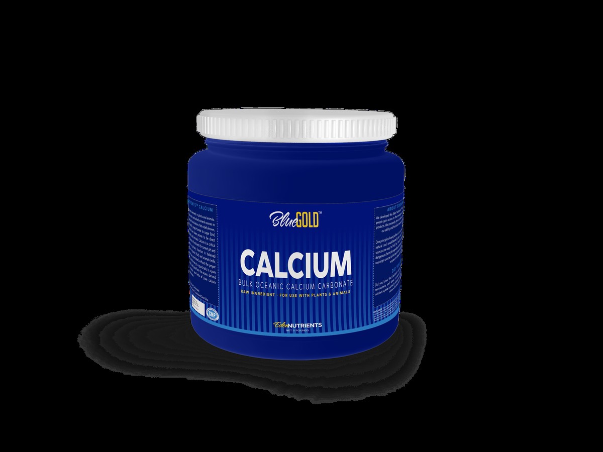 Das Geheimnis der Gärtner: Eierschalen im Beet verdoppeln Ihre Ernte - image 1