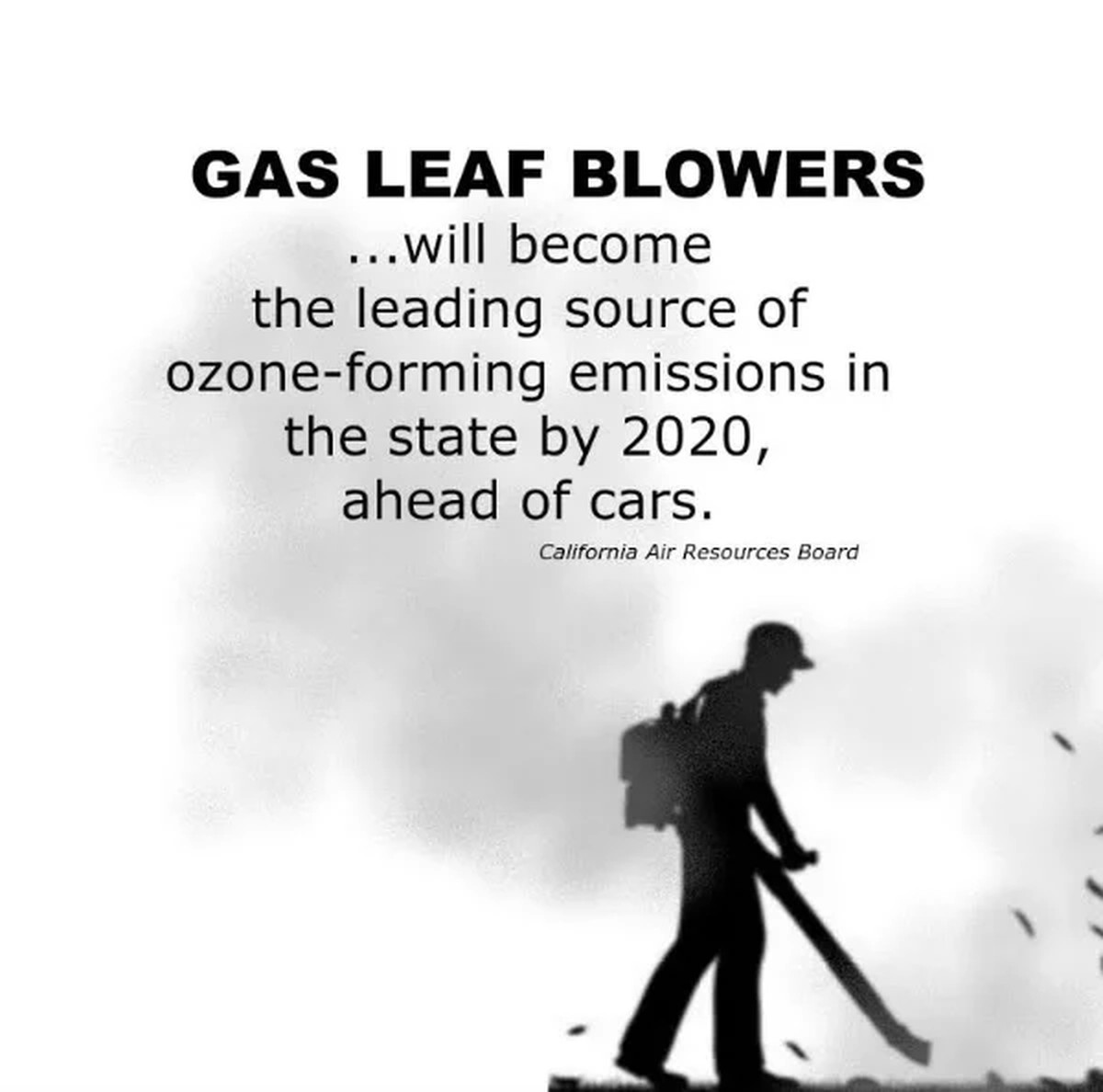 Das hätte ich früher wissen sollen: deshalb verbietet die Stadt das ab Januar