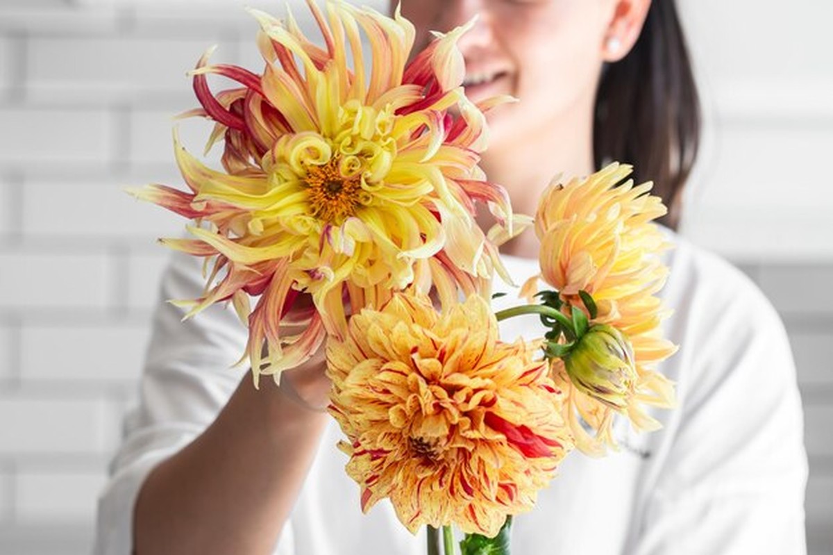 Floristentrick: So bleiben Schnittblumen länger frisch - image 2