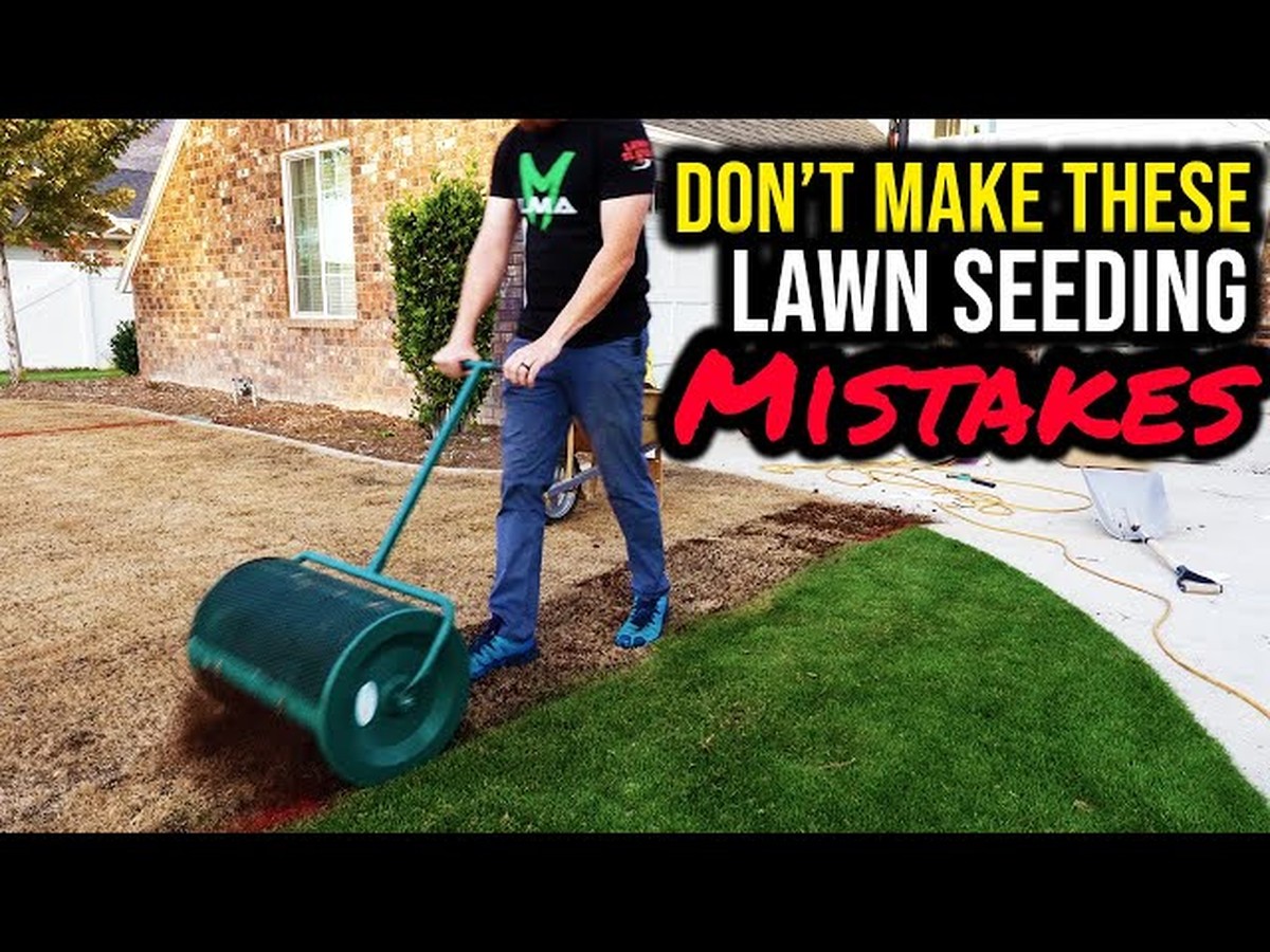 Gärtner warnen: Diese 3 Fehler zerstören jeden Rasen im ersten Jahr - image 1